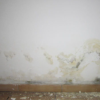 Untere Kellerwand feucht, Wand-Boden-Abdichtung defekt