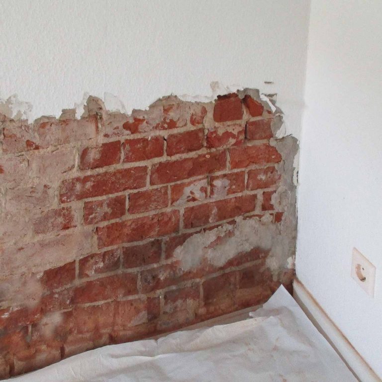 So handeln Sie richtig bei feuchtem Keller BAS Mauerwerkstrockenlegung und Kellerabdichtung