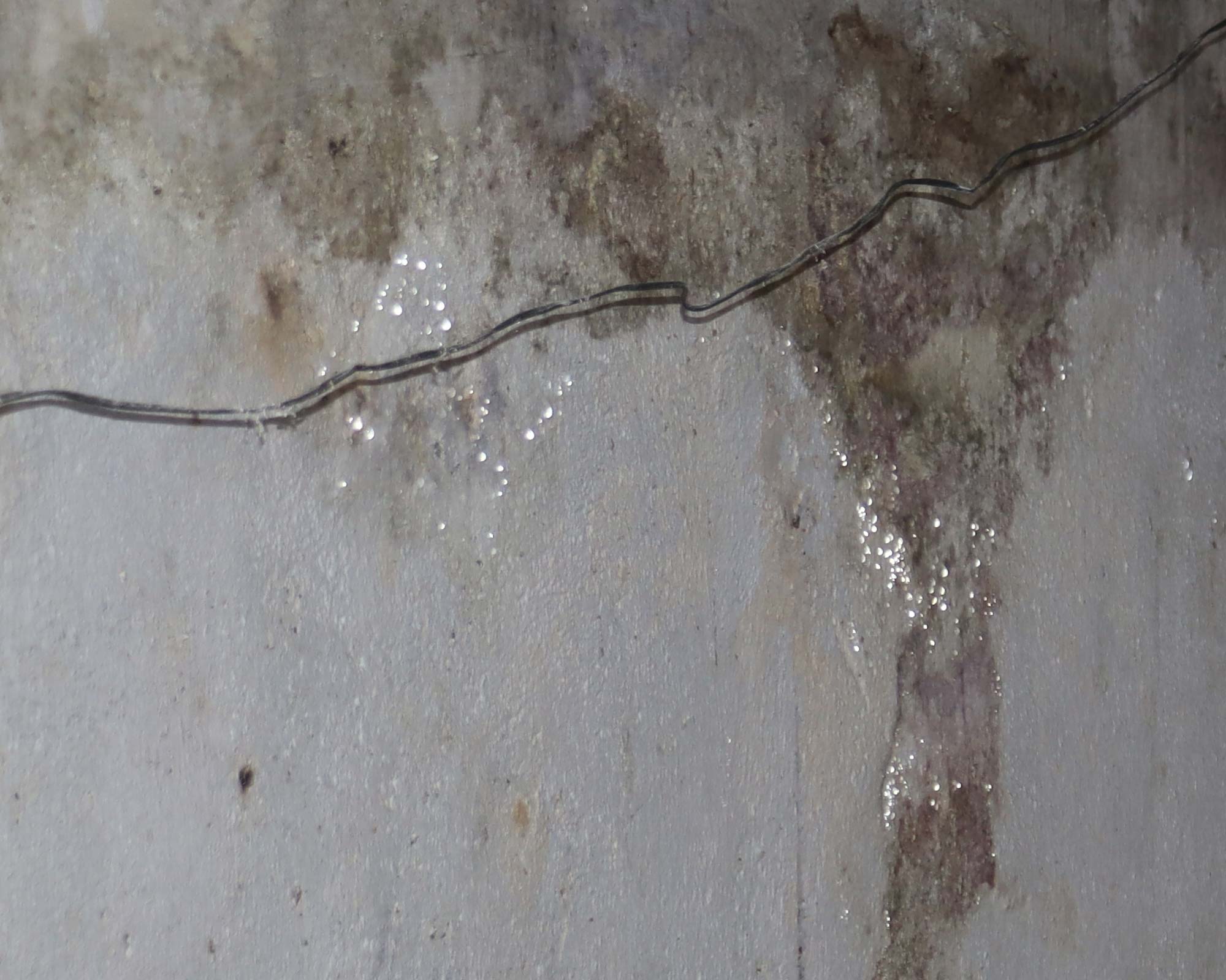 Oberflächenfeuchtigkeit auf der Wand durch Kodensation