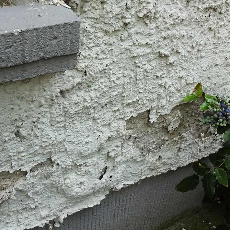 Abplatzende Putze auf feuchten Wänden Was ist die Ursache?