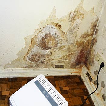 Luftentfeuchter hilft nicht bei defekter Kellerabdichtung