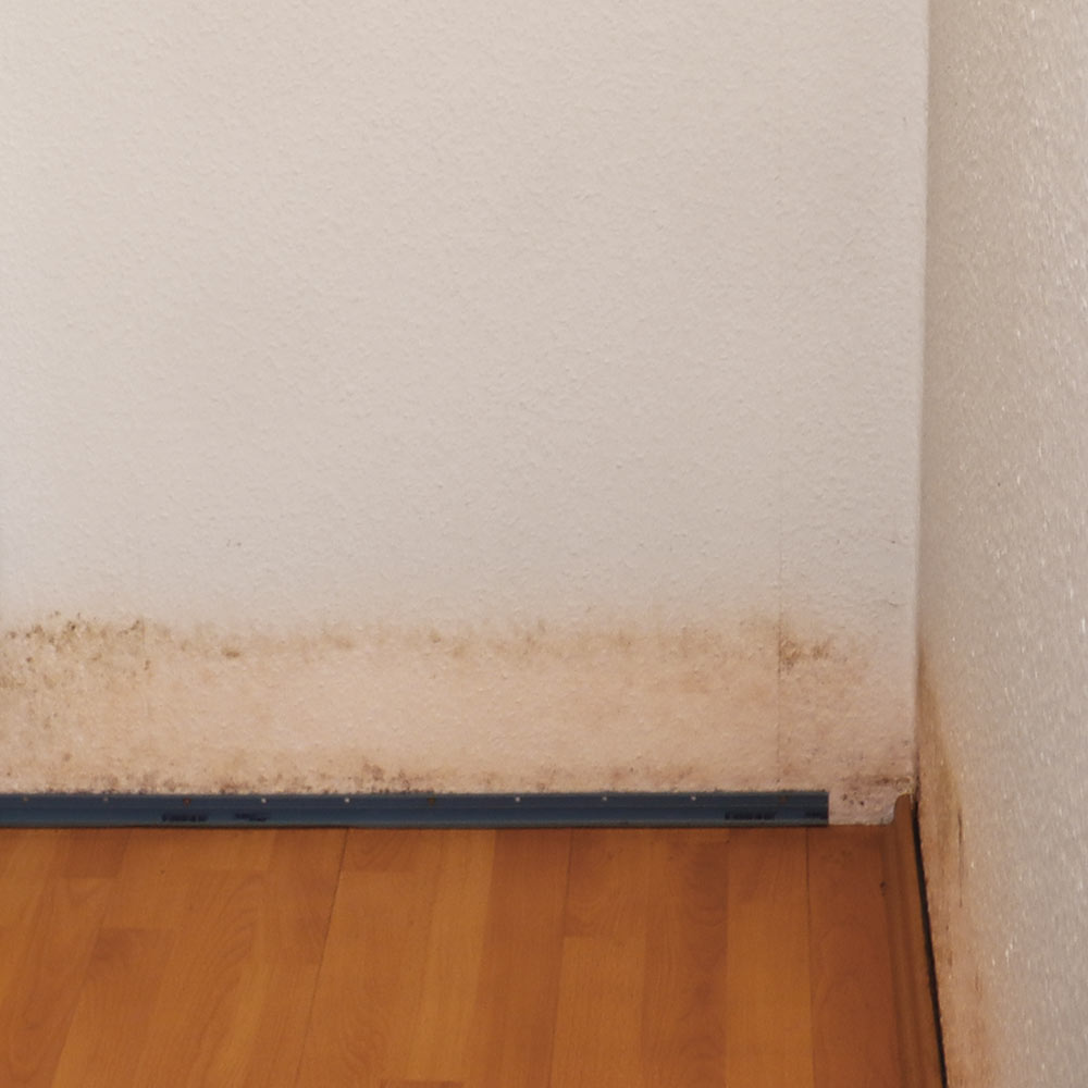 Feuchte Flecken auf der Wand Mögliche Ursachen BAS Ratgeber