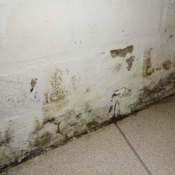 Feuchte Wand macht Kellertrockenlegung nötig