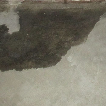 Feuchtigkeit auf dem Boden bei undichtem Wand-Boden-Anschluss