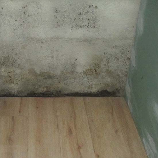 Keller selber richtig trockenlegen - ist das möglich?