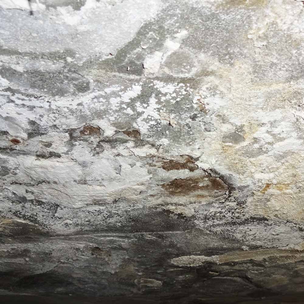 Salzausblühungen an Kellermauern Salpeter oder Schimmel im Keller?