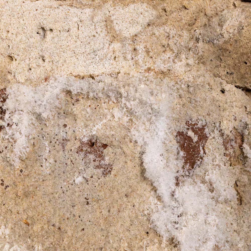 Salzausblühungen an Kellermauern Salpeter oder Schimmel im Keller?