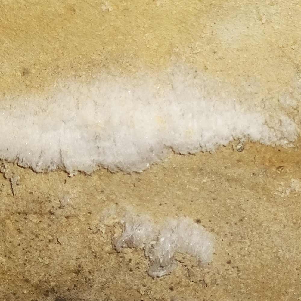 Salzausblühungen an Kellermauern - Salpeter oder Schimmel im Keller?
