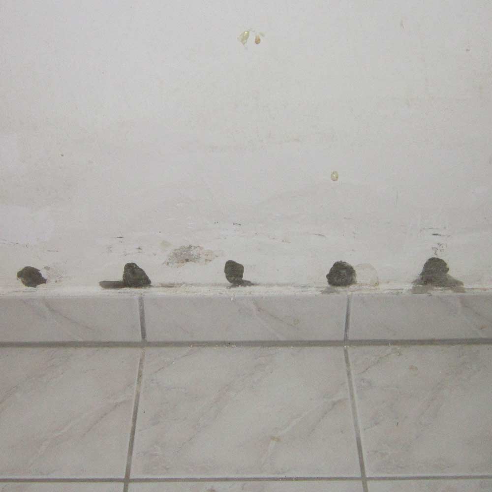 Drückendes Wasser im Keller Warum drückt Wasser durch Kellerwände?