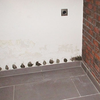 Sanierung Wand-Boden-Abdichtung Keller