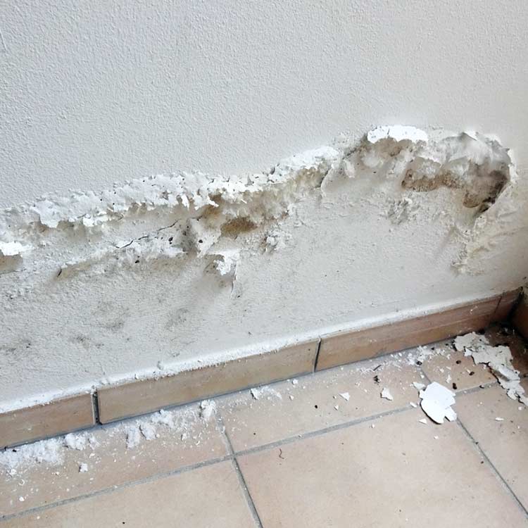 WandBodenAbdichtung Sanierung undichter WandBodenAnschlüsse