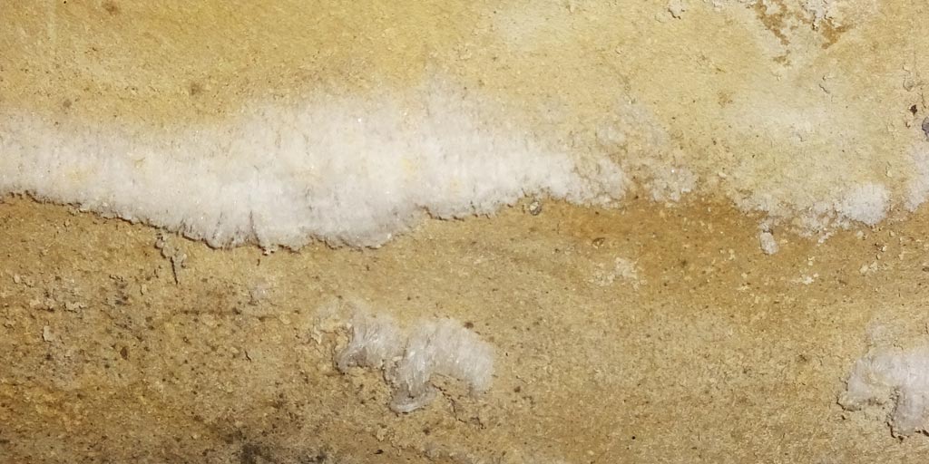 Salz auf Kellermauer