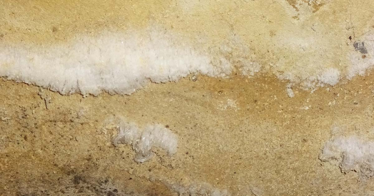 Salzausblühungen im Keller